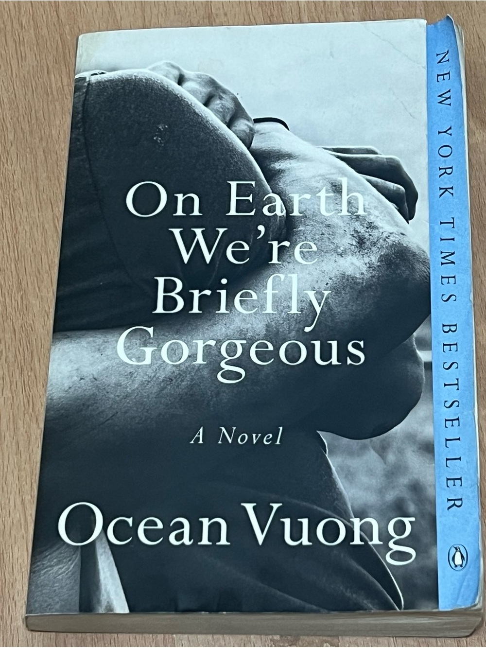 Othr Blue and Black Paperback Novel - On Earth We're Briefly Gorgeous Style